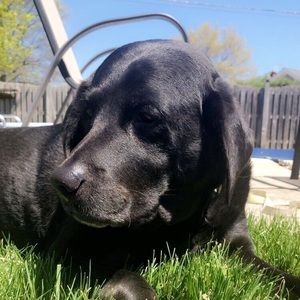 Meet your Posher, Avery